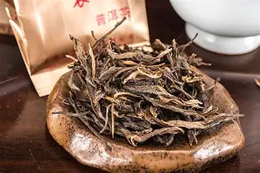 普洱